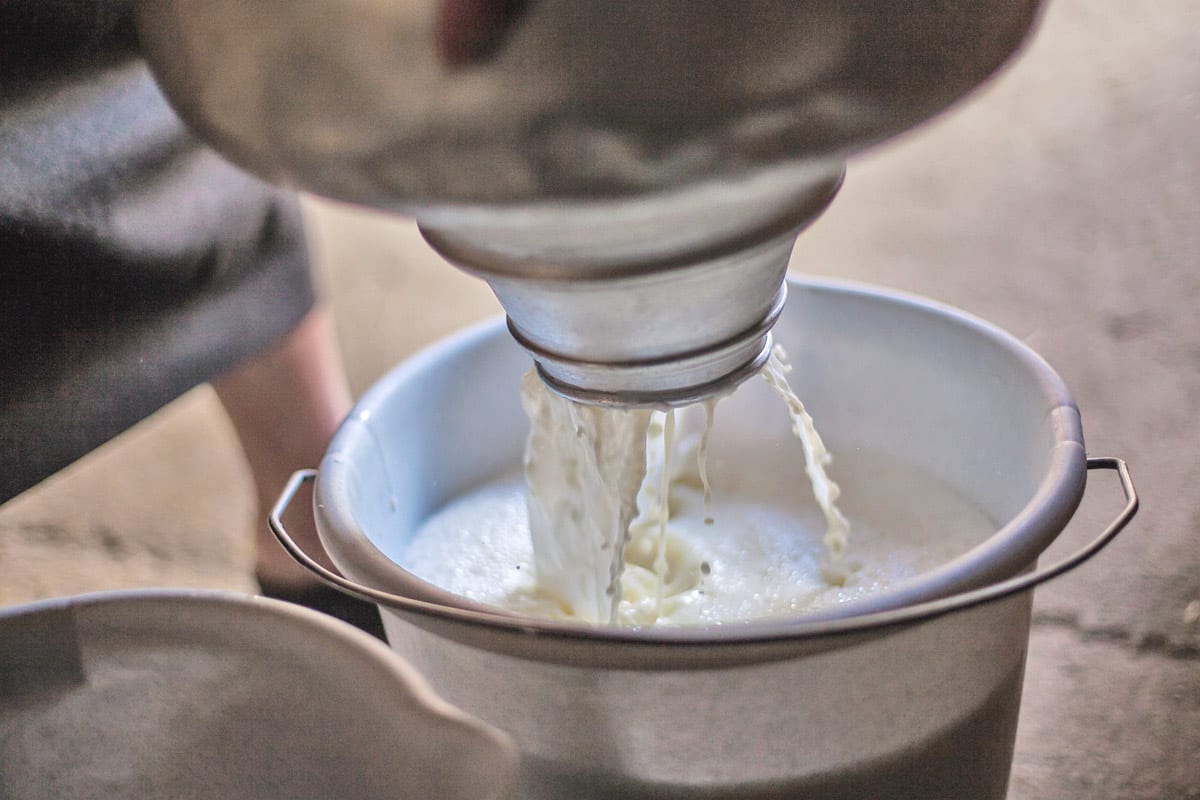 Biosphaerenpark-Nockberge-Nockfleisch-Almwirtschaft-Bergbauern-regionale-Produkte-Milch-4 Biosphaerenpark-Nockberge-Nockfleisch-Almwirtschaft-Bergbauern-regionale-Produkte-Milch-4