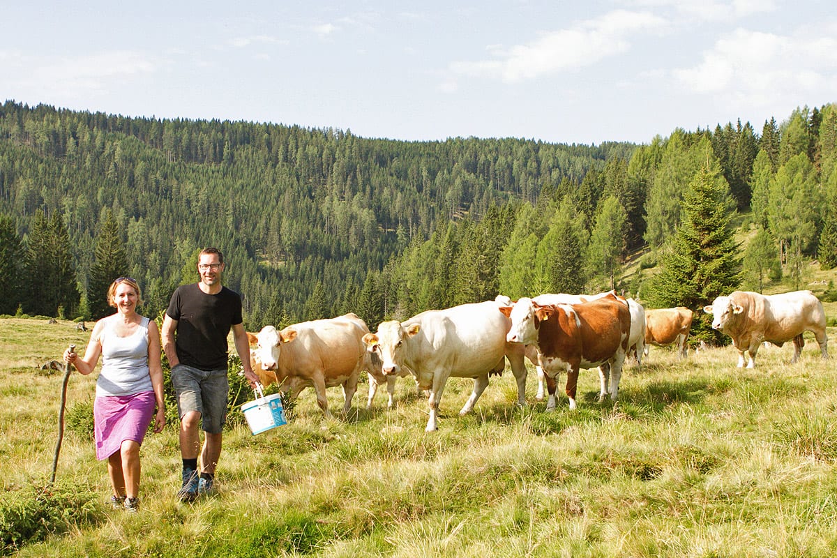Nockfleisch-Almwirtschaft-Bergbauer-Regionale-Produkte-baeurliche-Erzeugnisse-11 Nockfleisch-Almwirtschaft-Bergbauer-Regionale-Produkte-baeurliche-Erzeugnisse-11
