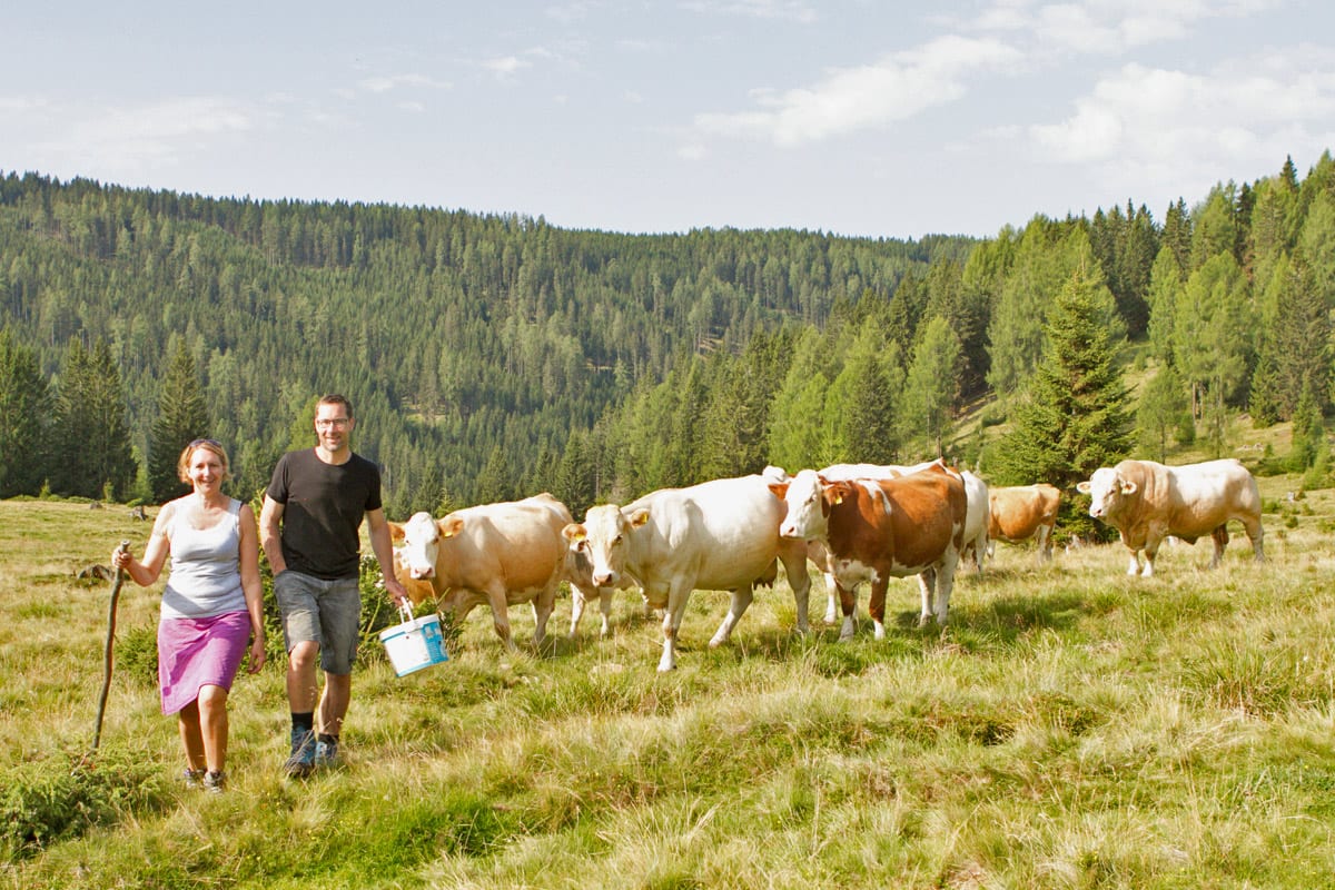 Nockfleisch-Almwirtschaft-Bergbauern-Regionale-Produkte-Rinder-Weidehaltung-6