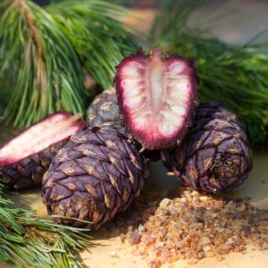 Frisch aufgeschnittene Zirbenzapfen mit braunem Kandiszucker.